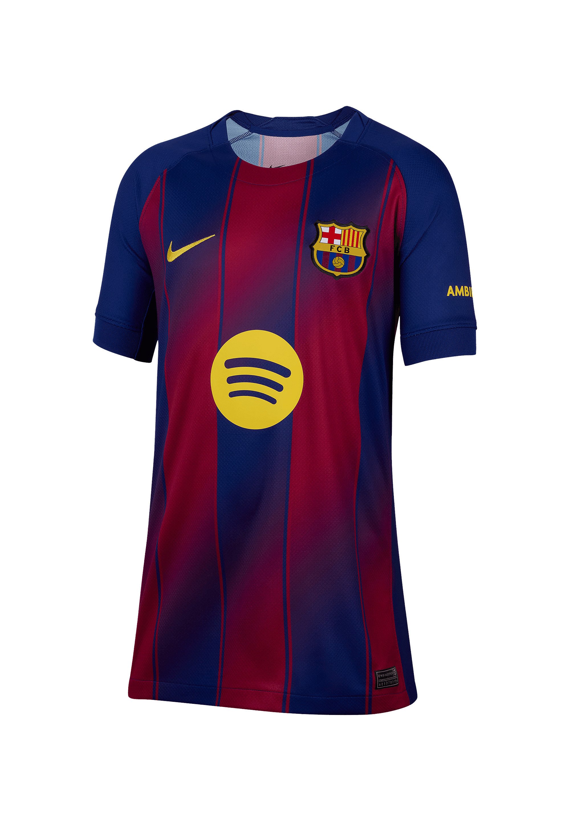 Nike Performance REPLICAS NATIONAL FC BARCELONA HOME 2025/2026
