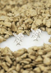 Sofia Milani Örhänge - silver coloured