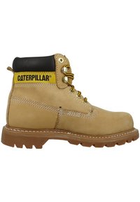 Cat Footwear COLORADO - Botki sznurowane