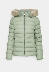 Unselected, dusty sage