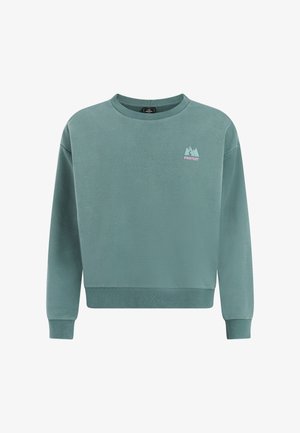 Groene crewneck trui met lange mouwen en een klein berglogo met de tekst "PROTEST" op de borst.