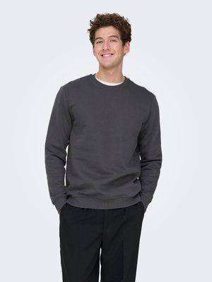 Only & Sons ONSCONNOR LIFE REG CREW NECK NOOS - Pusa - grey pinstripe