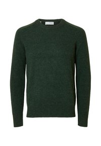 Maglione verde in lana con collo rotondo, maniche lunghe e polsini a costine. Texture liscia e aspetto morbido, con dettagli di design minimi.