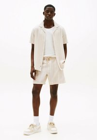 Tommy Jeans REGULAR - Shorts - silt stripes