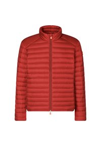ALEXANDER - Vinterjakker - jack red