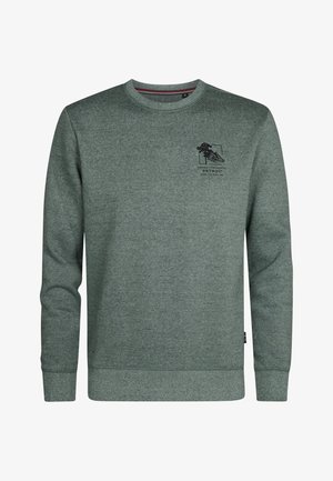 Sudadera verde con cuello redondo, mangas largas y puños acanalados. Presenta un pequeño diseño gráfico negro en la parte frontal. Hecha de un tejido texturizado.