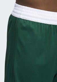Grüne Sportshorts aus einem strukturierten, feuchtigkeitsableitenden Stoff. Besitzt einen weißen elastischen Bund und seitliche Nähte mit dezenten Stichen.