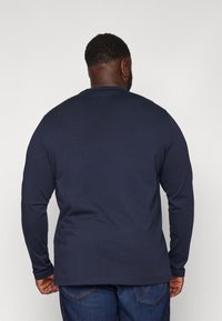 Tommy Hilfiger BIG TEE - Topper langermet - desert sky
