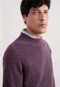 Dziņa dziļi purpura krāsā no vilnas ar raibām daudzkrāsainām akcentiem. Aprīkota ar pusaugstu apkakli un raglanu piedurknēm, teksturēts adījums un ribotas aproces.