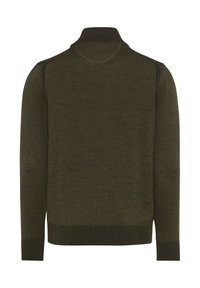 Dunkelgrüner Strickpullover mit hohem Kragen, gerippten Bündchen und Saum, mit glatter Textur und minimalistischem Design. Rückansicht gezeigt.