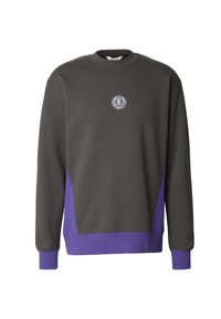 Grijze sweatshirts met paarse zijaccenten, ronde hals, lange mouwen en een klein wit logo op de borst. Zachte stoftextuur.