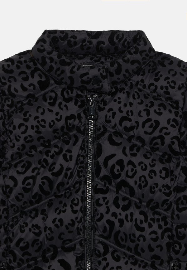 JUNIOR PADDED JACKET ZIP - Winter jacket2