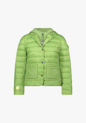 Groene gewatteerde jas met een capuchon, voorzien van een drukknopsluiting, twee voorzakken en een bloemmotief op de linkermouw. Gestructureerd gewatteerd ontwerp.