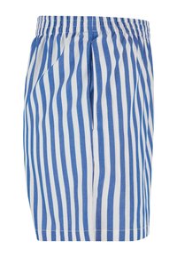 Shorts rayés verticaux bleu et blanc avec une ceinture élastique et des poches latérales, présentés sur un fond blanc.