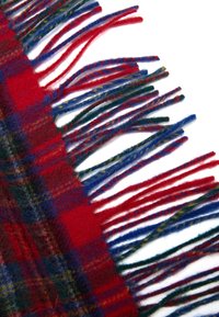 Sciarpa di lana tessuta con un motivo a quadri rosso, verde e blu, caratterizzata da lunghe frange multicolori su un bordo. Tessitura morbida in tutta la superficie.