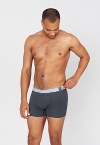 Heren donkergrijze boxershorts met een lichtgrijze elastische tailleband met een logo. De stof lijkt zacht en aansluitend, ontworpen voor comfort.