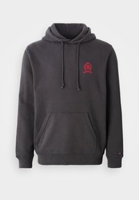Dark gray hoodie made of cotton-blend fabric, featuring a kangaroo pocket, adjustable drawstring hood, and small red logo on the chest.