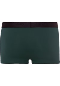 Hanro MICRO TOUCH - Calzoncillos - fir forest