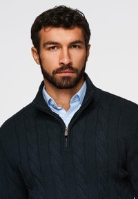 Homme aux cheveux bouclés foncés et à la barbe portant une chemise col bleu clair sous un pull à col zippé noir en maille torsadée, sur fond uni.