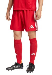 adidas Performance TASTIGO 25 - Korte broeken - rot