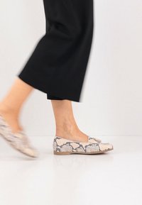 Ballerines plates en imprimé serpent beige et gris avec bout rond et détail nœud ; semelle en caoutchouc et design profilé bas.