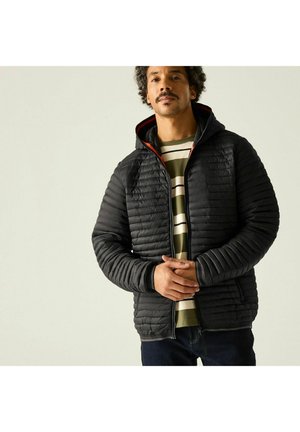 Regatta REGATTA RIGAIN PUFFER JACKETS - Giacca invernale - black