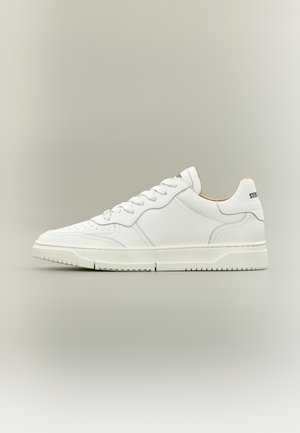 Steve Madden SHAWN - Trainers - white