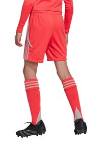 Helle pinke Sportshorts und Socken mit drei weißen Streifen am oberen Rand; schwarze Fußballschuhe mit strukturierten Sohlen. Rückansicht des Outfits.