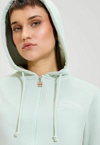 Sudadera con cremallera en verde claro, con cordones, material suave, logo bordado en el pecho y una cremallera metálica con un acento colorido.