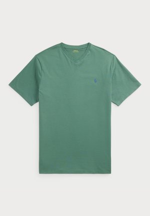 Zielona koszulka typu v-neck wykonana z miękkiej bawełny. Posiada krótkie rękawy oraz małe niebieskie logo na lewej piersi. Gładka tekstura na całej powierzchni.