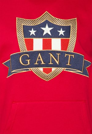 BANNER SHIELD HOODIE - Hoodie - equestrian red