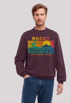 Sweatshirt - maroon