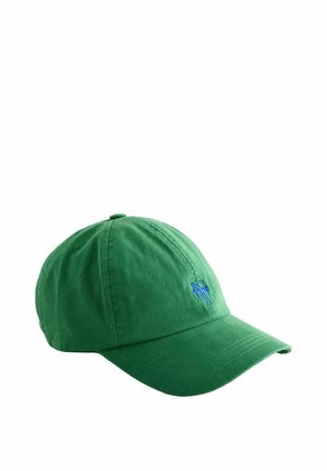 Green baseball cap with blue embroidered logo on front, curved brim, and stitched panels, shown against white background.