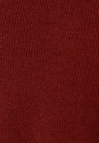 NO EXCESS ROUND NECK STRUCTURE AND SUPER SOFT TOUCH - Trui - orange red