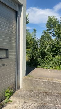Beton lépcsők vezetnek egy kültéri területhez, ahol sűrű zöld fák és cserjék találhatók, részben felhős kék ég alatt.