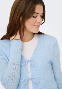 Cardigan tricoté bleu clair avec un col en V, doté d'une fermeture à nouer et de motifs floraux subtils sur les manches. Texture douce et coupe décontractée.