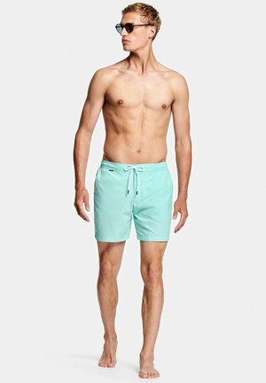 The Swims - Zwemshorts - Mints
