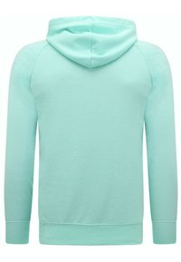 Muntgroene hoodie gemaakt van zacht materiaal, met een trekkoordcapuchon, lange mouwen en ribgebreide manchetten en zoom. Glad van structuur zonder patronen.
