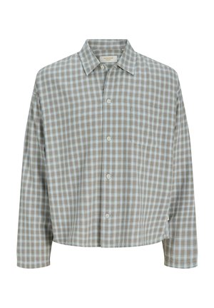 Jongen staat frontaal, draagt een lichtgrijs geruit overhemd over een blauw T-shirt, loszittende beige broek en bruine schoenen op een witte achtergrond.