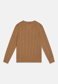 Maglione a trecce color marrone chiaro, con polsini e orlo a costine. Presenta un motivo testurizzato con una parte posteriore semplice e un dettaglio del colletto a contrasto.