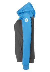 Veste à capuche avec une partie supérieure bleue et une partie inférieure grise, d'une texture lisse, dotée de poches latérales et d'un logo blanc sur la manche gauche.
