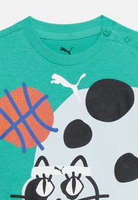 Πράσινο πουκάμισο με ασπρόμαυρο πρόσωπο γάτας, λευκό λογότυπο Puma, πορτοκαλί μπάλα του μπάσκετ με μπλε γραμμές και δύο πράσινα κουμπιά σκανδάλης στον ώμο.