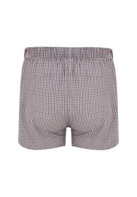 Krótka bielizna męska wykonana z materiału w kratkę w kolorze czerwonym, niebieskim i białym. Posiada elastyczny pas i luźny krój.