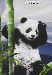 Molo ENOVAN - Long sleeved top - grey