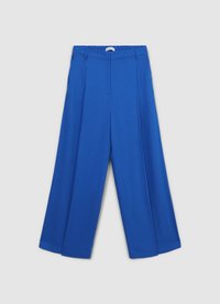 Pantalon bleu à jambes larges avec une ceinture élastique, présentant des plis à l'avant et une texture de tissu lisse. Aucune poche ni accent supplémentaire observé.