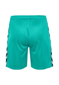 Ett par teal atletiska shorts med en slät yta, som har svarta och vita vertikala ränder längs sidorna och ett elastiskt midjeband.