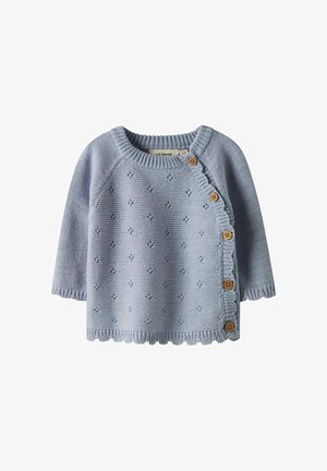 Maglione azzurro chiaro in maglia con maniche corte, orlo smerlato e bottoni in legno lungo il lato; presenta dettagli testurizzati su tutta la superficie.