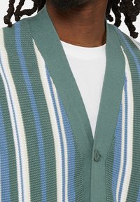 Green and white striped cardigan with a v-neck, textured knit material, featuring blue and cream stripes, and a single button closure.