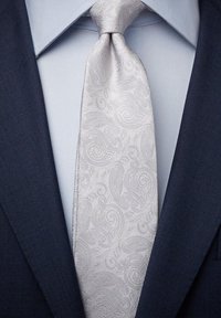 Silvrig paisleymönstrad slips med en texturerad yta, bärs över en ljusblå skjorta och en mörk marinblå kavaj. Har detaljer med ett intrikat mönster.