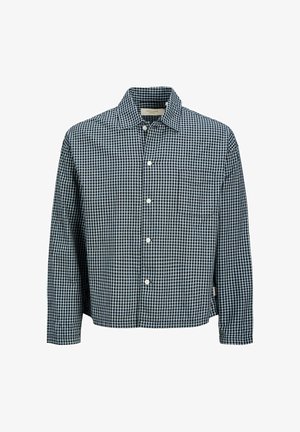 Kariertes Button-up-Hemd aus gewobenem Baumwollstoff in Marineblau und Weiß. Mit spitzem Kragen und einer Brusttasche. Lange Ärmel.